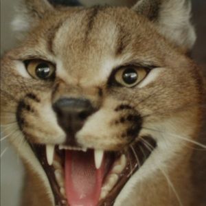 Meet your Posher, Eduardo